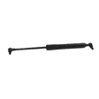 PALFINGER GAS SPRING - Palfinger Spare Parts - 80133 - 1
