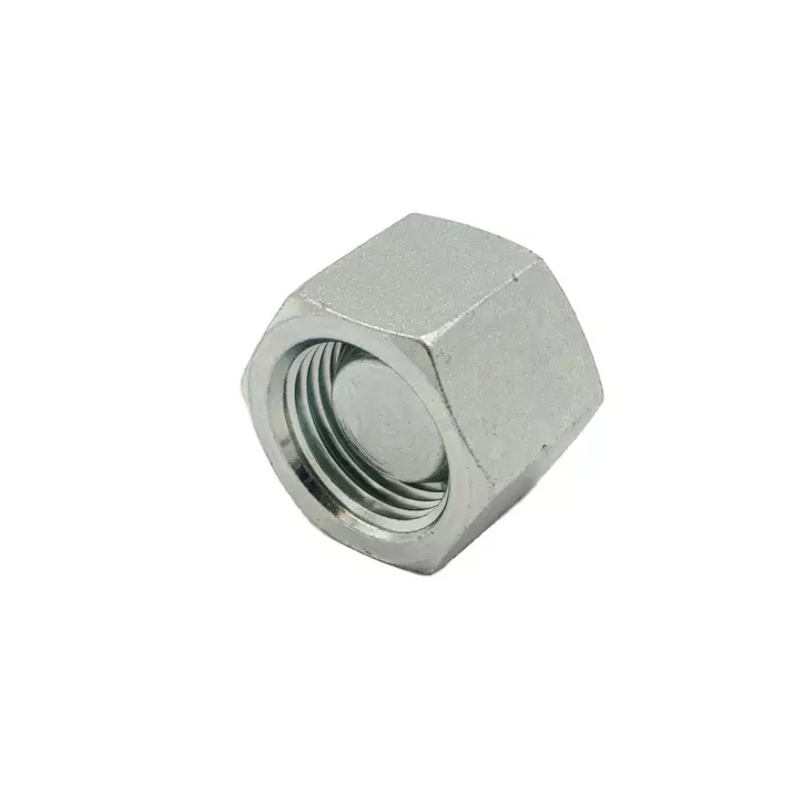 BSP ÄNDPLUGG INV. GÄNGA - BSP Adapter - 88356 - 1